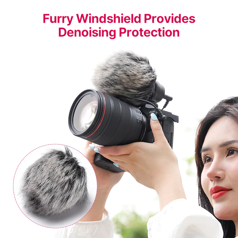 13_b4f7b369-a548-4637-bb9d-388190ac433d_1024x