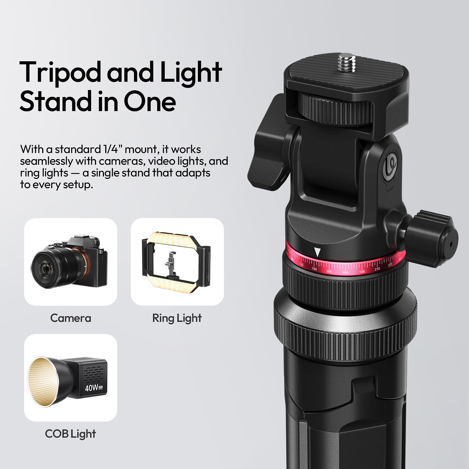 1762354442_IMG_2602404